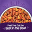 Purina Friskies Cat Food Surfin and Turfin Favorites Flavors of Chicken, Whitefish, Salmon and Filet Mignon - (Pack of 4) 3.15 lb. Bags