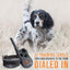 SportDOG FieldTrainer Off-Leash Control & Training