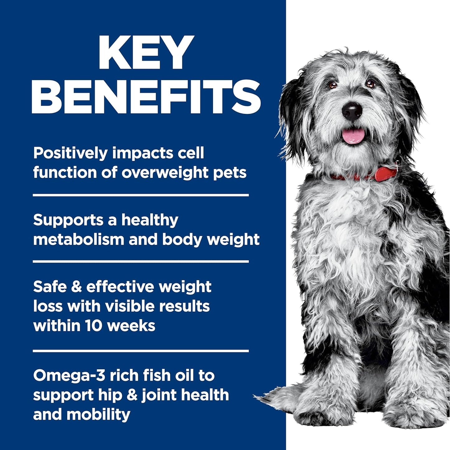 Hill's Science Diet Perfect Weight & Joint Support, Adult 1-6, Weight Management & Joint Support, Dry Dog Food, Chicken & Brown Rice, 3.5 lb Bag