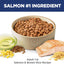 Hill's Science Diet Adult 1-6 Premium Nutrition Dry Dog Food, Salmon & Brown Rice, 33 lb. Bag