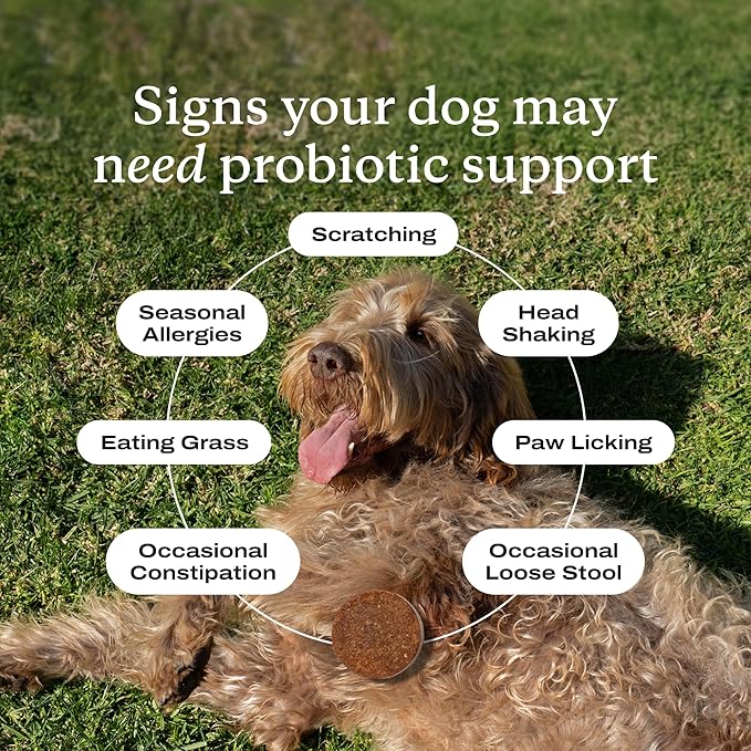 PetLab Co. Probiotics for Dogs, Support Gut Health, Occasional Diarrhea, Digestive Health & Seasonal Allergies - Pork Flavor - 30 Soft Chews - Packaging May Vary