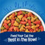Purina Friskies Dry Cat Food Seafood Sensations With Salmon, Tuna, and Shrimp Flavors - 22 lb. Bag