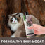 Holistic Natural Derived Cherry Blossom & Green Tea Pet Shampoo: Veterinarian Recommended