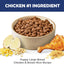 Hill's Science Diet Large Breed Puppy Food, DHA to Support Healthy Development, Chicken & Brown Rice Dry Dog Food, 15.5 lb. Bag
