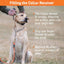 SportDOG FieldTrainer Off-Leash Control & Training