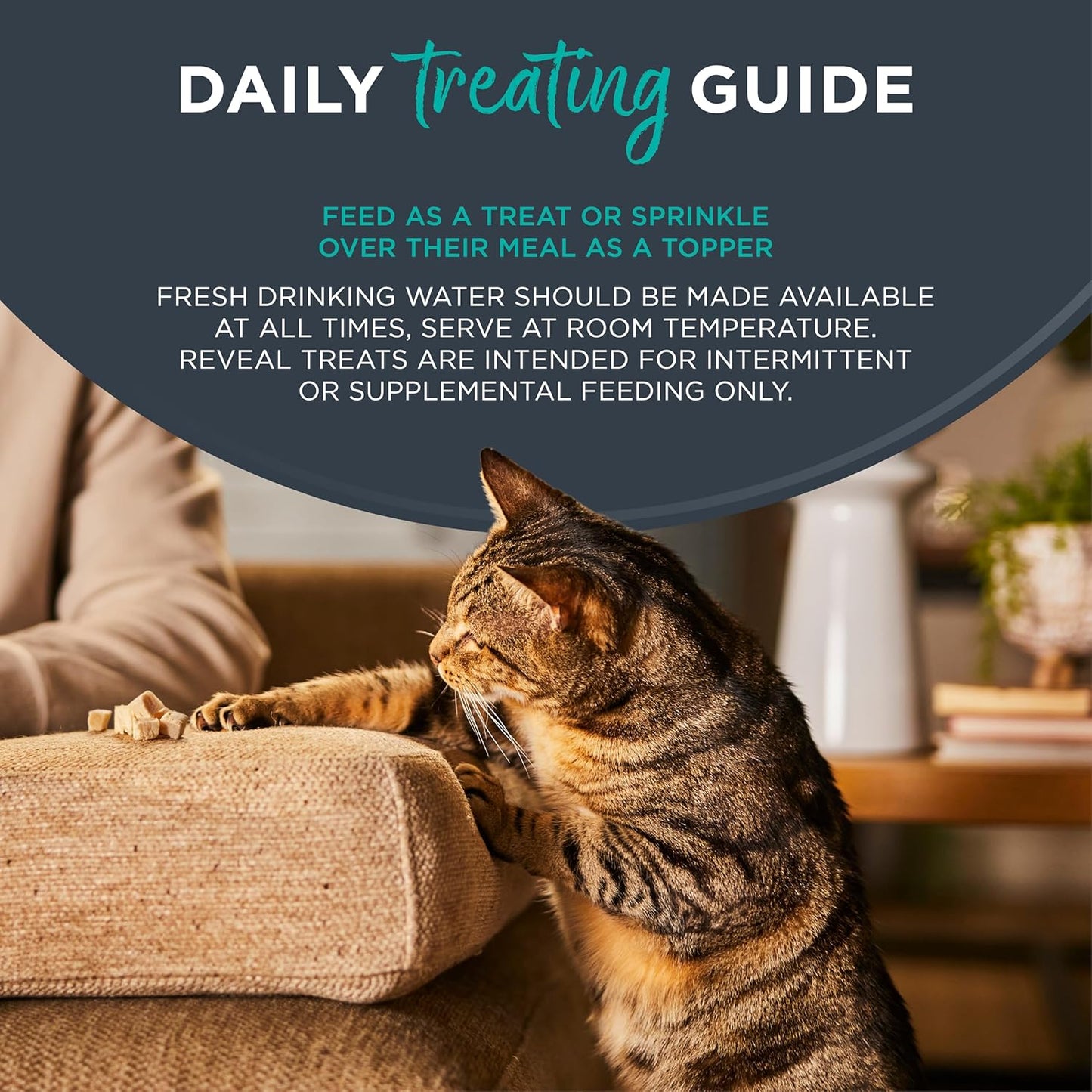 Reveal Natural Whole Protein Fillet Cat Treats, Single Ingredient, Grain Free,Whole Mackerel Loin (12 x 1.06 oz Loin)