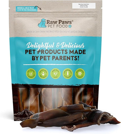 Raw Paws Camel Skin Chews for Dogs, 10-inch (10-Count)