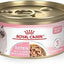 Royal Canin Feline Health Nutrition Kitten Thin Slices in Gravy Cat Food, 3 oz (Pack of 24)