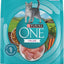 Purina ONE Plus Whole Body Support with Chicken Dry Cat Food - 3.5 lb. Bag