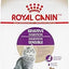 Royal Canin Feline Health Nutrition Sensitive Digestion Adult Dry Cat Food, 7 lb Bag
