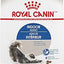 Royal Canin Feline Health Nutrition Indoor Adult Dry Cat Food, 3 lb Bag