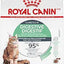Royal Canin Feline Care Nutrition Digestive Care Adult Dry Cat Food, 6 lb Bag