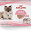 Royal Canin Feline Health Nutrition Mother & Babycat Queen Ultra Soft Mousse in Sauce Cat Food, 3 oz (Pack of 12)