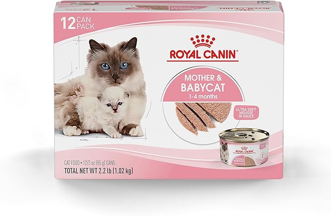 Royal Canin Feline Health Nutrition Mother & Babycat Queen Ultra Soft Mousse in Sauce Cat Food, 3 oz (Pack of 12)