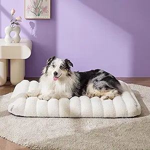 LE SURE Cute Orthopedic Dog Bed Large Sized Dog, Waterproof Chic Flat Pet Beds with Removable Washable Cover, Fuzzy Thick Egg Crate Foam Pet Mat for Indoor Use (36" x 27", Cream)
