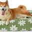 LE SURE Dog Beds Large Sized-Thick Shredded Chopped Foam Pet Bed Indoor as Bed Gift with Removable Cover, Green