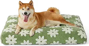 LE SURE Dog Beds Large Sized-Thick Shredded Chopped Foam Pet Bed Indoor as Bed Gift with Removable Cover, Green
