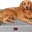 EHEYCIGA Orthopedic Dog Beds for Extra Large Dogs 44x32Inch, Waterproof Memory Foam XL Pet Bed with Sides, Grey
