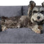 Hollypet Fluffy Dog Cat Bed, Gray, 24" L x 18" W x 10" Th