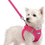rabbitgoo Dog Harness Small Sized and Leash Set, Step in Soft Light Puppy Vest, Breathable Mesh Pet Harness, Reflective for Safe Easy Walking, Rose Red S
