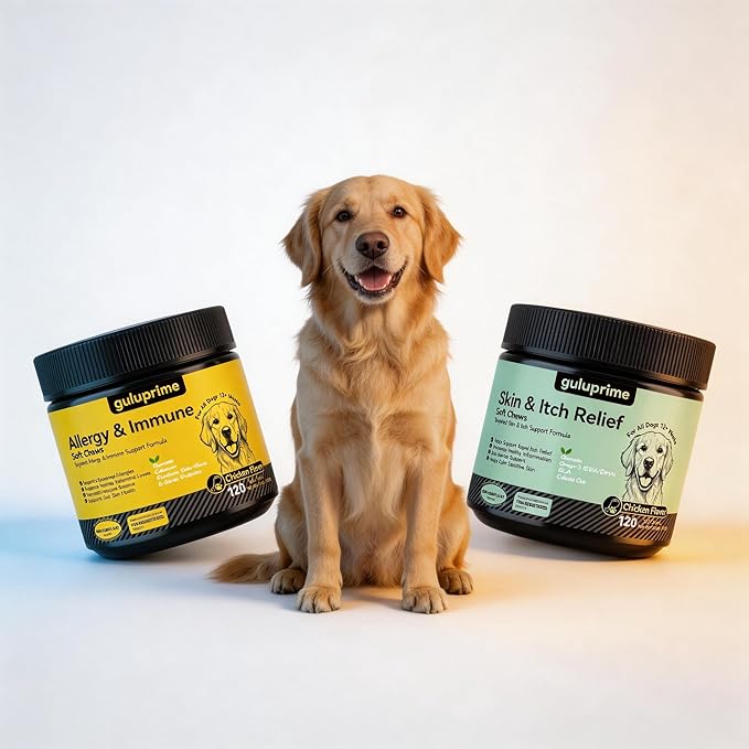 Dog Allergy & Itch Relief Bundle – Immune Support & Skin Comfort for Dogs